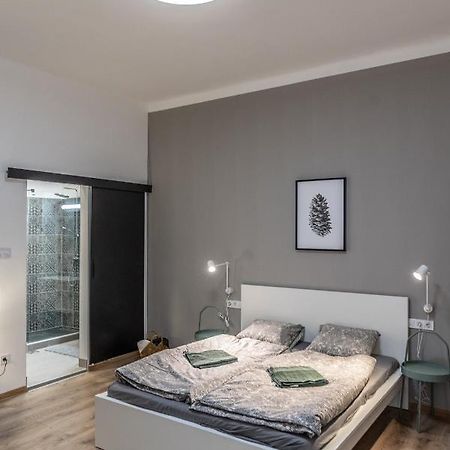 בודפשט Design Studios Downtown מראה חיצוני תמונה