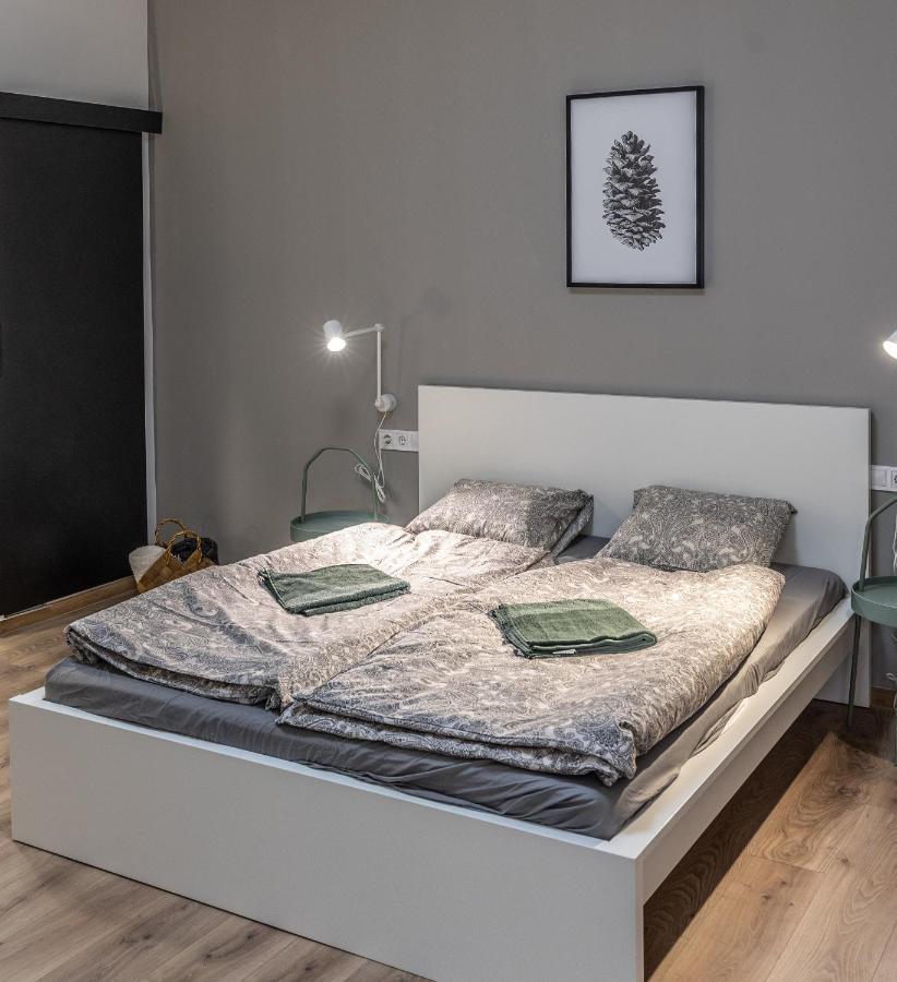 בודפשט Design Studios Downtown מראה חיצוני תמונה